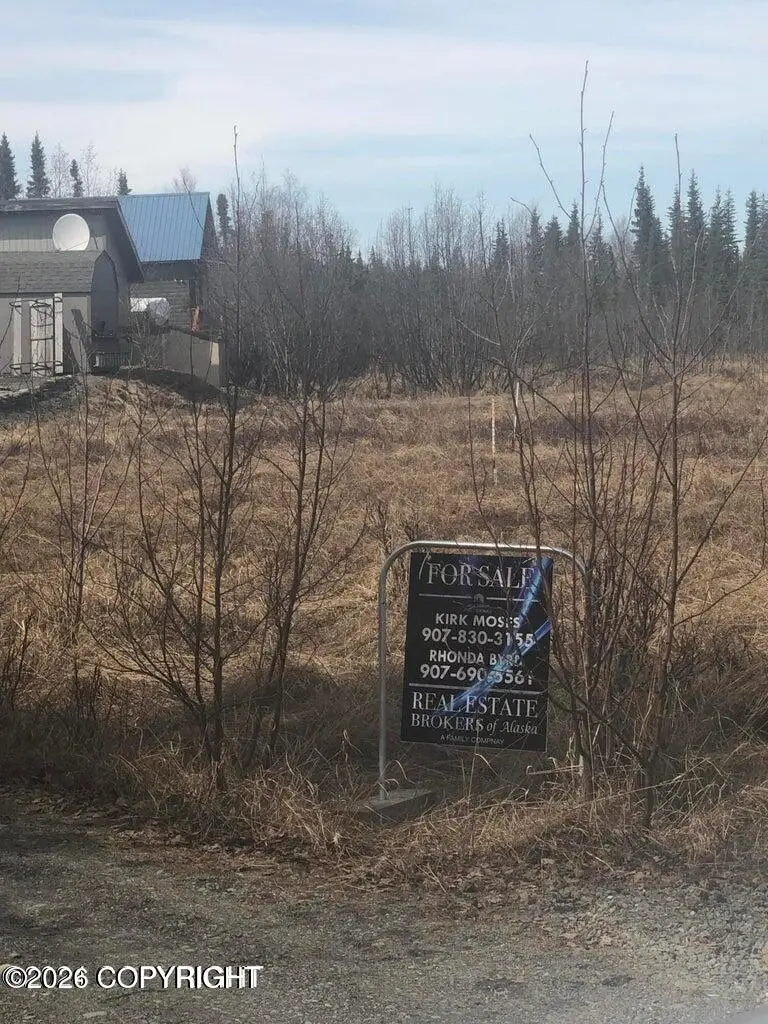 45628 Catching Silver Drive, Kenai, AK 99611 - #3