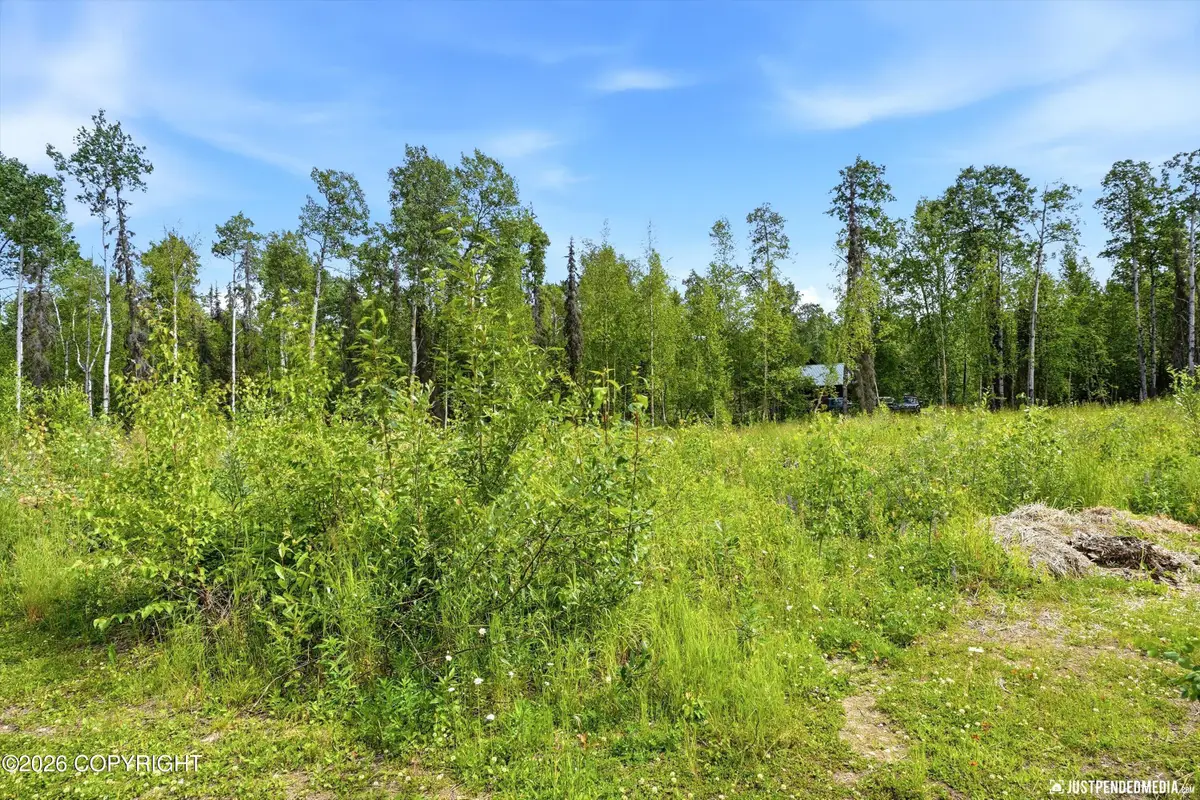 24681 W Sunnyslope Way, Willow, AK 99688 - #1