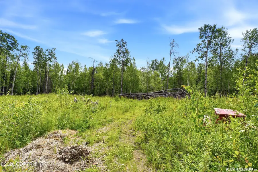 24681 W Sunnyslope Way, Willow, AK 99688 - #2