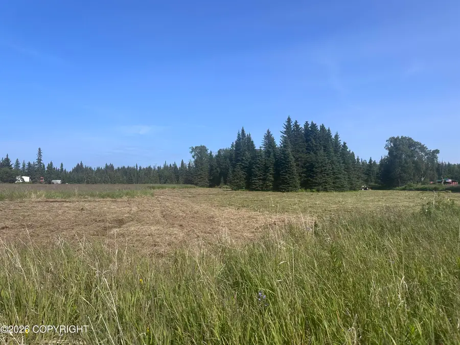 L18 B4 Plumb Bluff Estates, Anchor Point, AK 99556 - #3