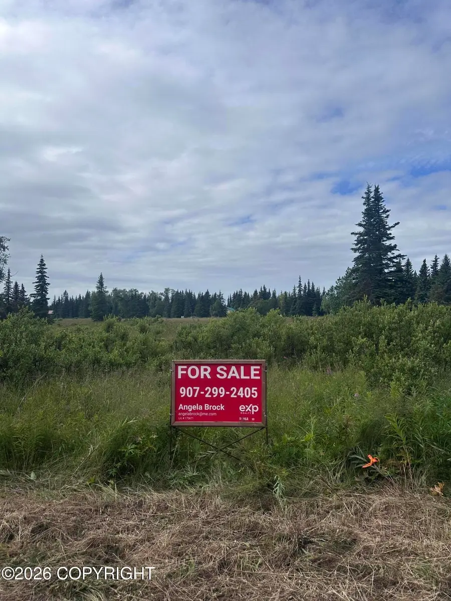 L16 B4 Plumb Bluff Estates, Anchor Point, AK 99556 - #2