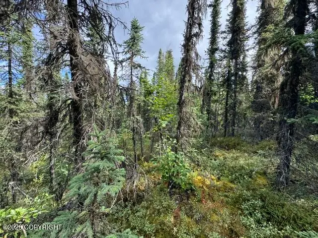 Tr 15 Funny River Road, Soldotna, AK 99669 - #3