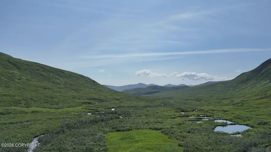 000 Dutch Creek Gold Claims, Trapper Creek, AK 99683 - #3