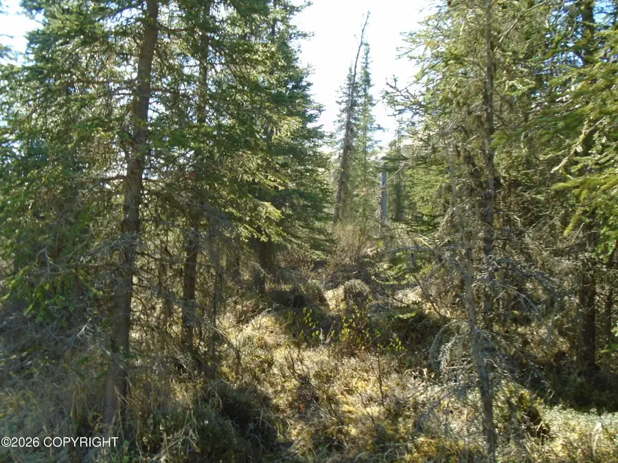 L6 River Circle, Eagle River, AK 99577 - #2