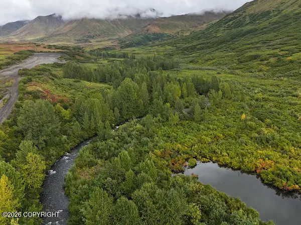 000 Dutch Creek Gold Claims, Trapper Creek, AK 99683