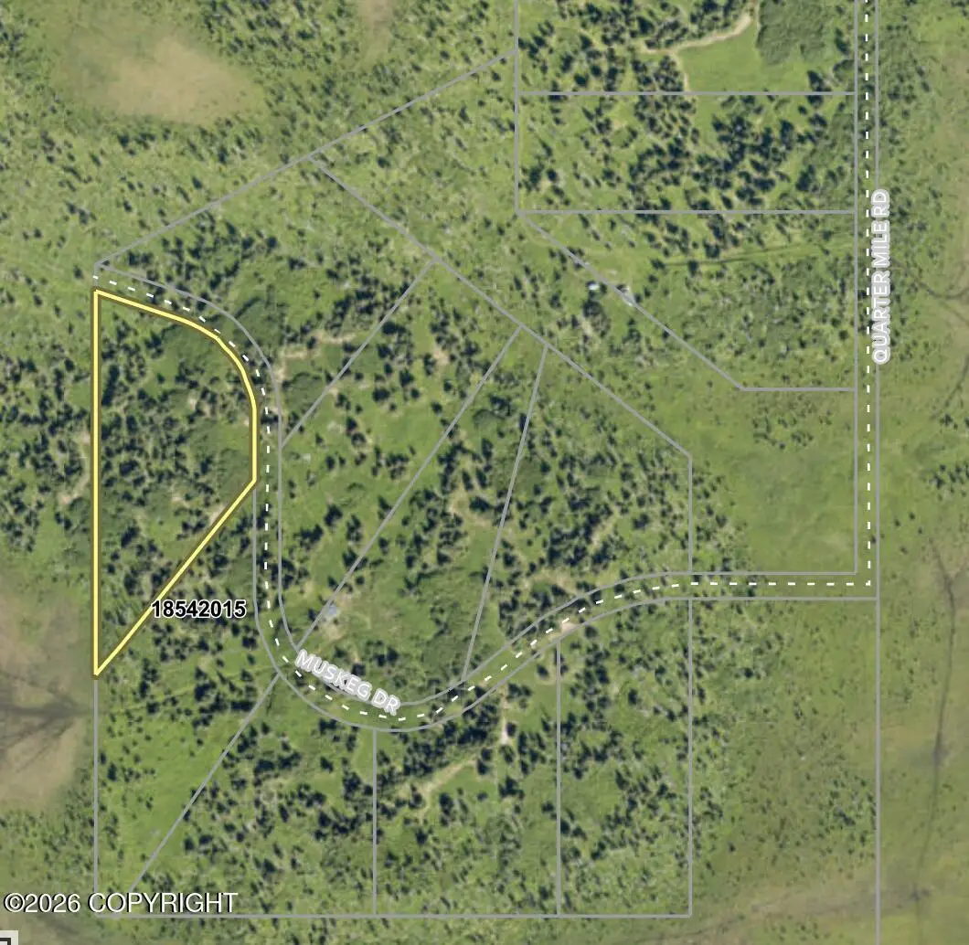 46075 Muskeg Drive, Homer, AK 99603 - Image #1