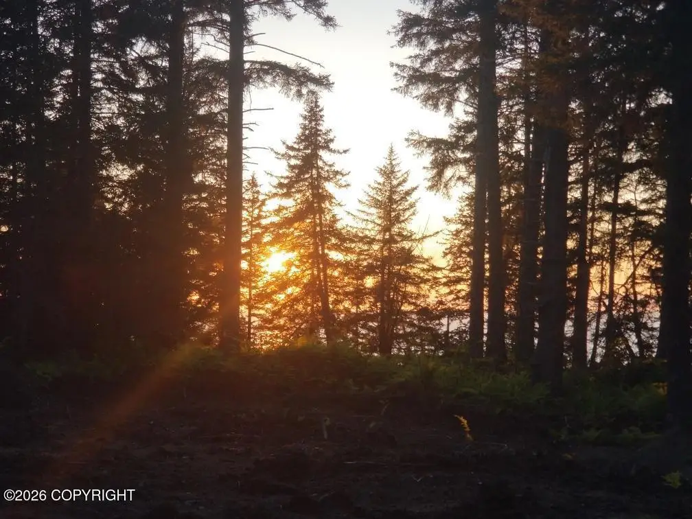 L29 B7 Kashevarof Road, Seldovia, AK 99663 - #1