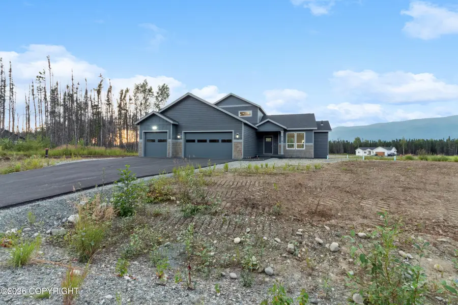 613 W Birdnest Drive, Wasilla, AK 99654 - #3
