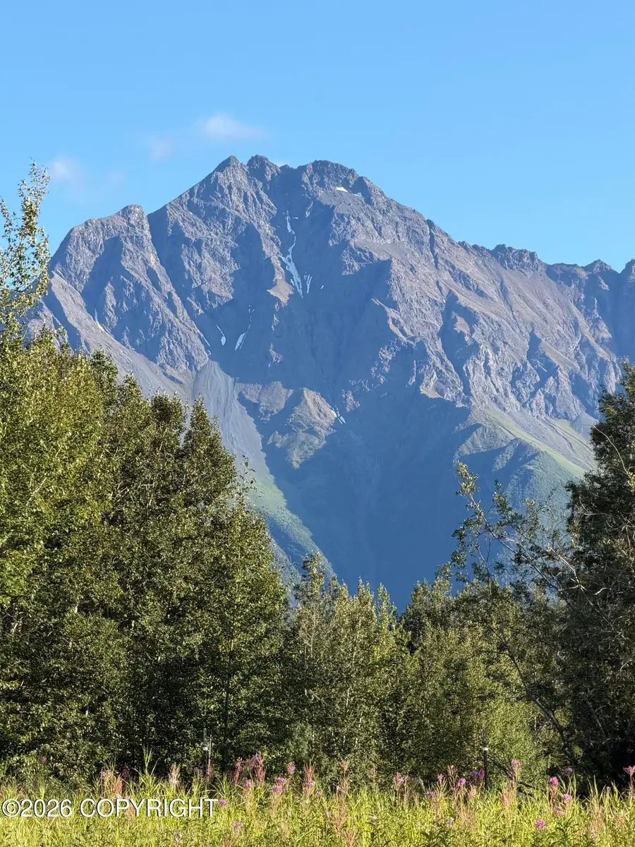 2937 S Mccombs Road, Palmer, AK 99645 - #2