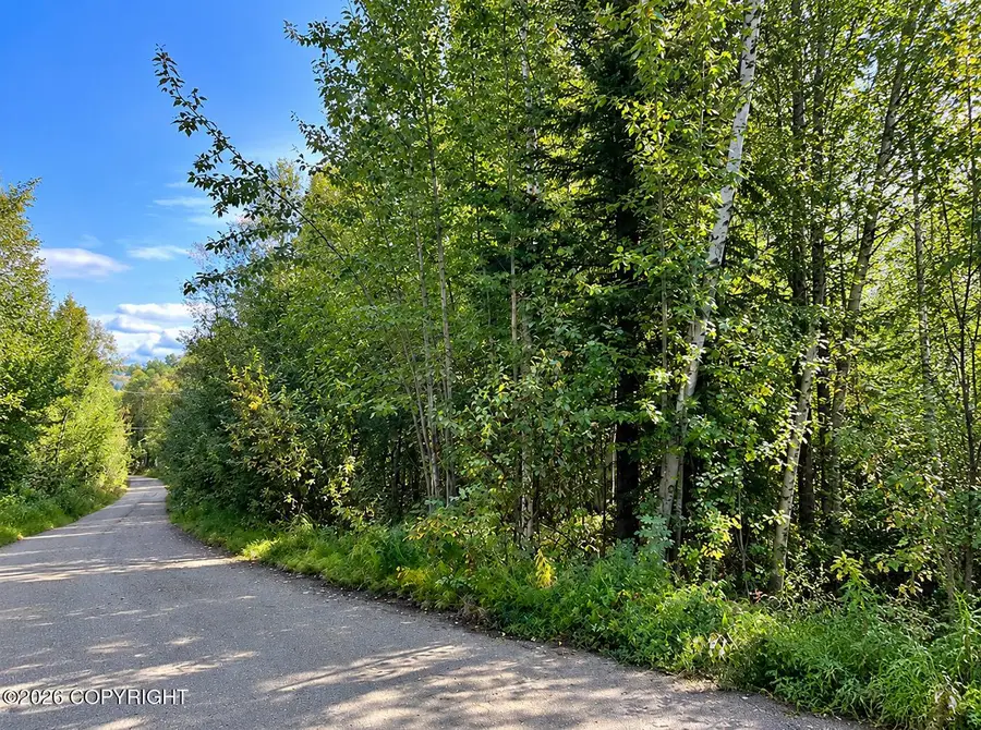 Lot 4 Bennett Road, Fairbanks, AK 99712 - #2