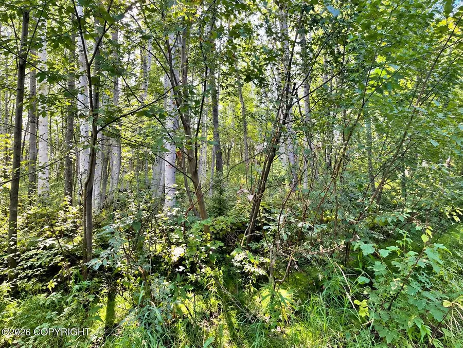 Lot 4 Bennett Road, Fairbanks, AK 99712 - #3