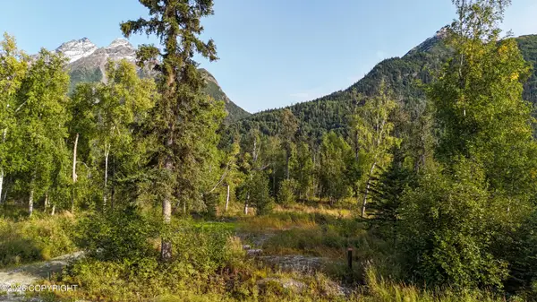 12704 E Wycoff Drive, Palmer, AK 99645