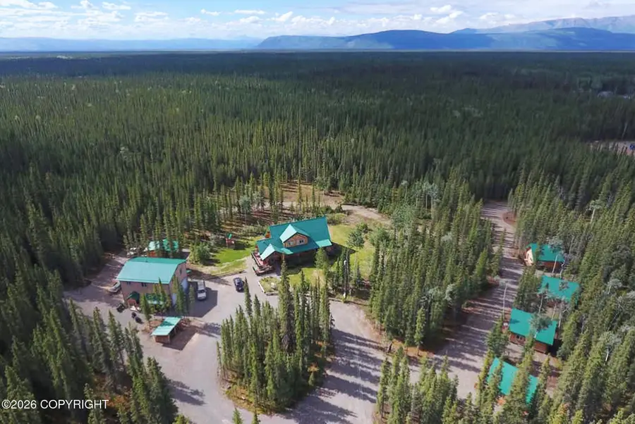 5 Borealis Avenue, Tok, AK 99780 - #3