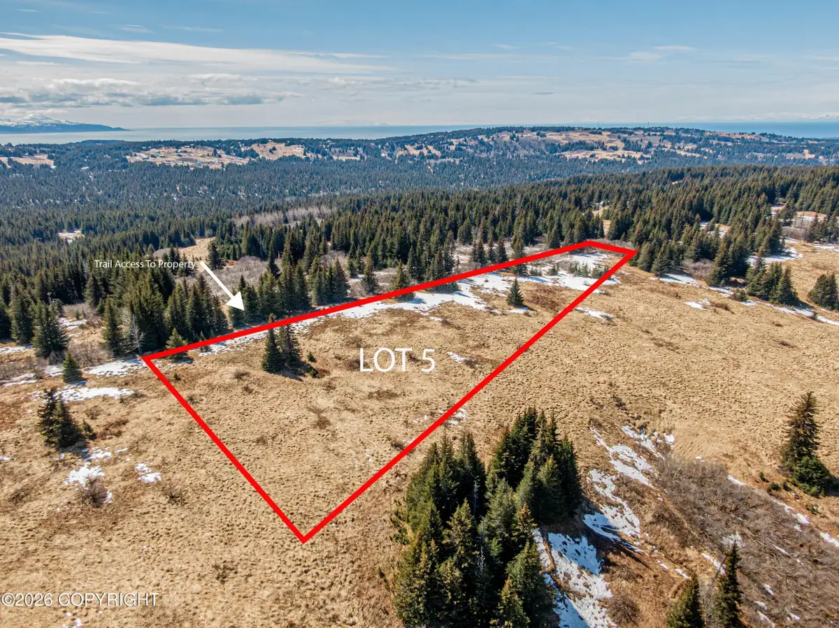 L5 Salin's Spur Road, Homer, AK 99603 - #1