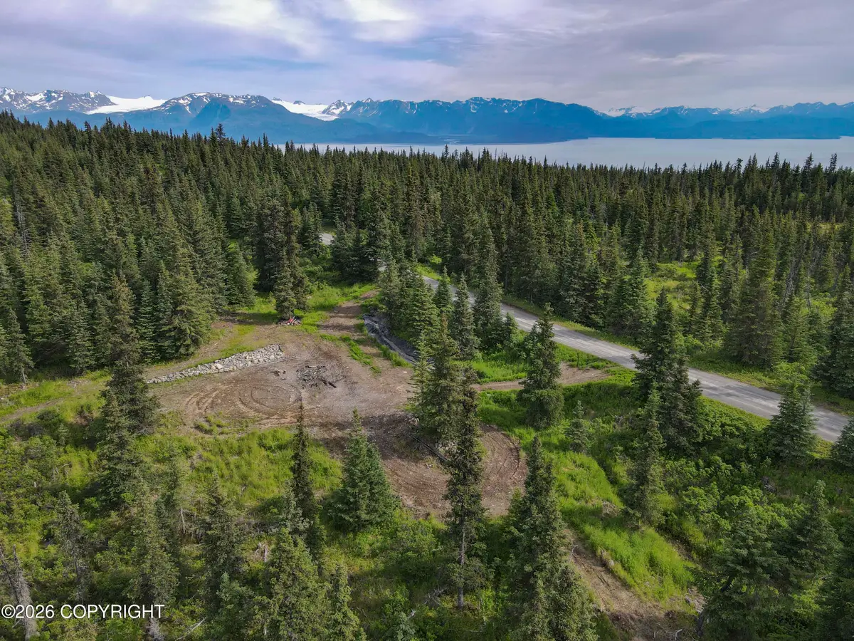 54540 Hutler Road, Homer, AK 99603 - #1