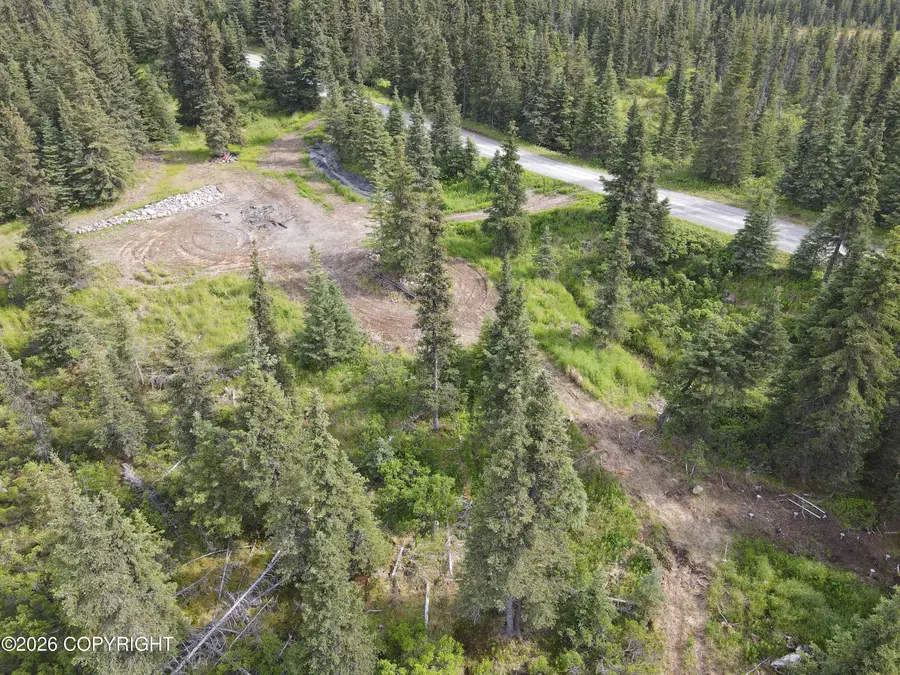 54540 Hutler Road, Homer, AK 99603 - #2