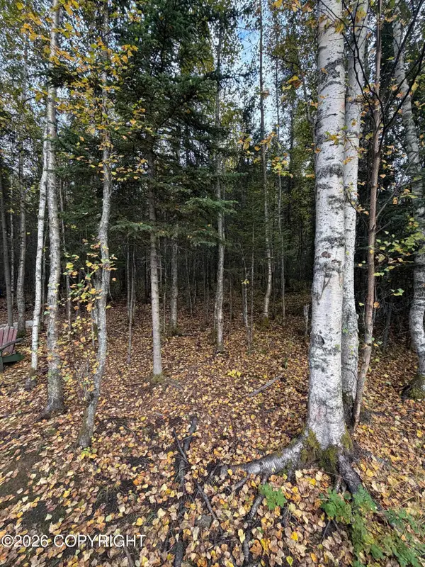 6801 W Opal Street, Wasilla, AK 99623