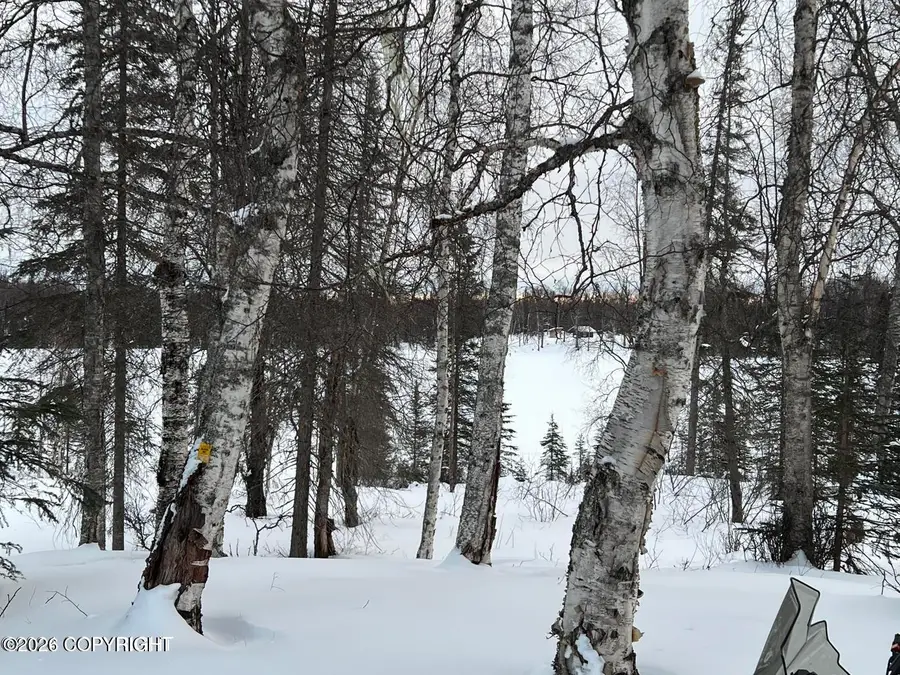 Tr I No Road, Trapper Creek, AK 99683 - #2