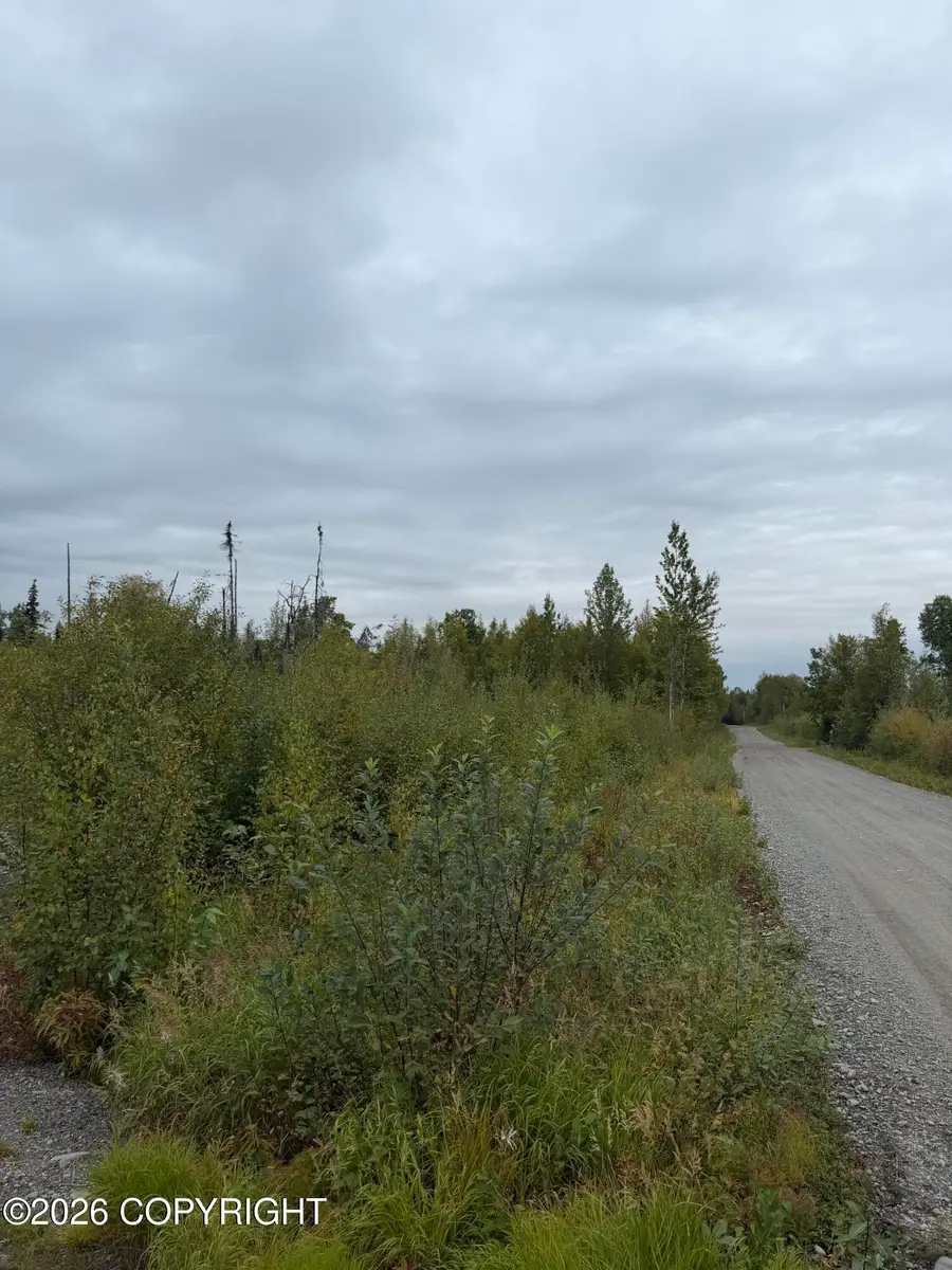 47002 S Susitna Street, Talkeetna, AK 99676 - #3