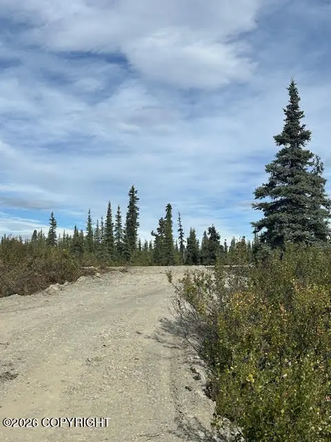 49296 S Timberwolf Road, Chickaloon, AK 99674 - #1