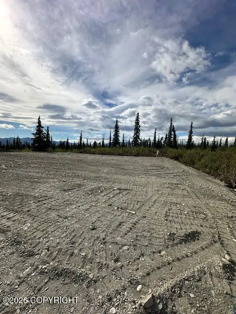 49296 S Timberwolf Road, Chickaloon, AK 99674 - #2