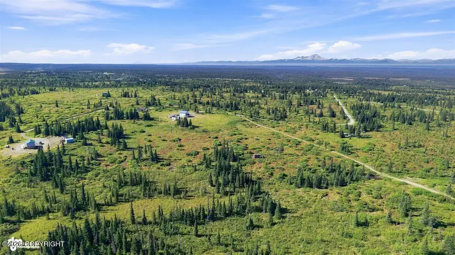 16685 Peacock Street, Ninilchik, AK 99639 - #3