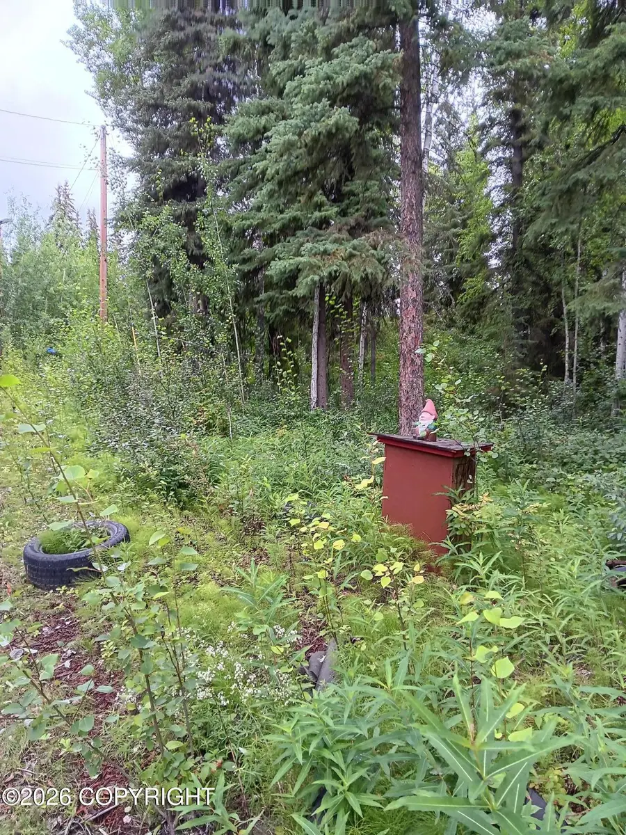 L8 Pickering Drive, Fairbanks, AK 99709 - #2