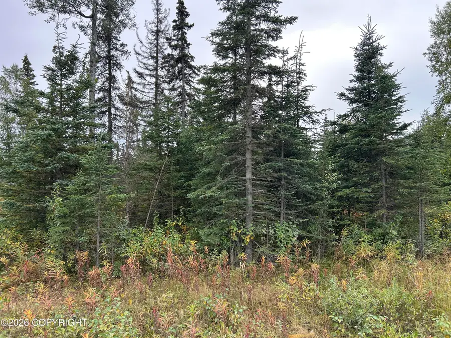 52905 Treasure Chest Avenue, Salamatof, AK 99611 - #3