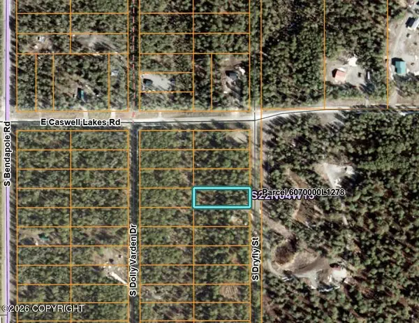 49322 S Dryfly Street, Willow, AK 99688