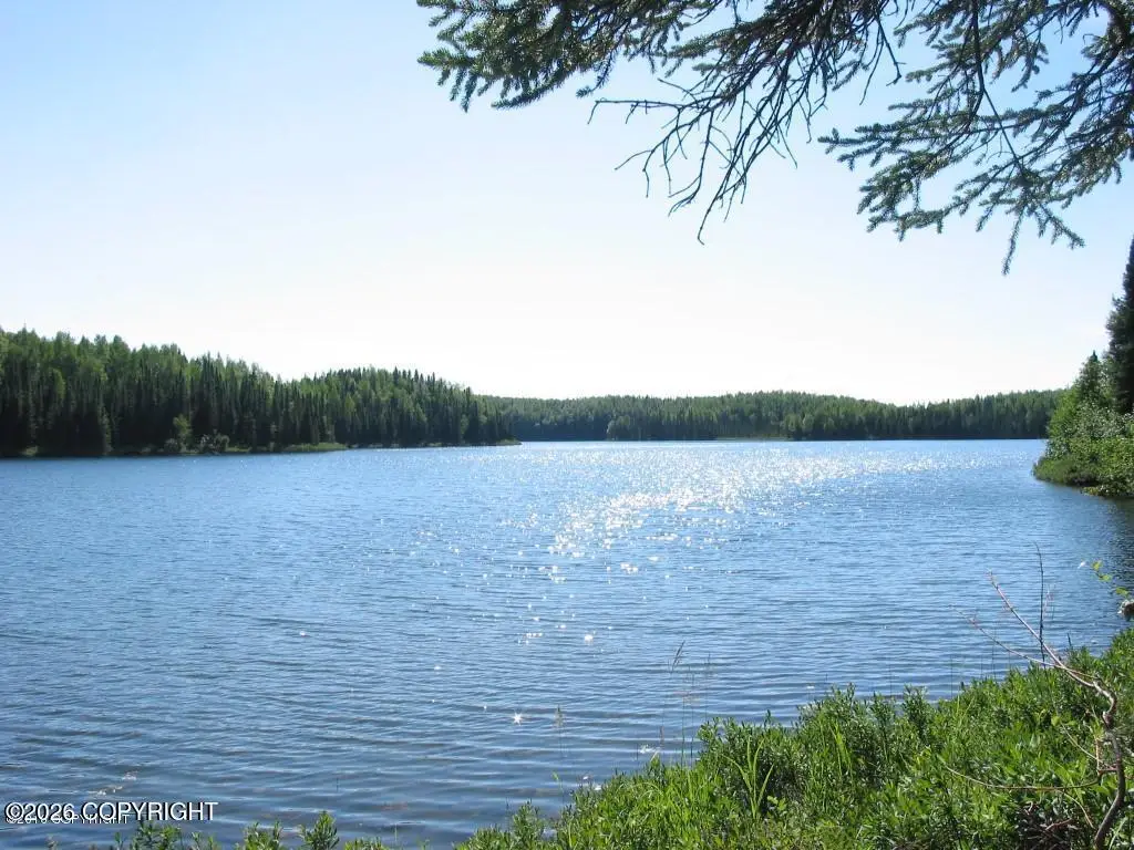21312 W Bow Tie Loop, Willow, AK 99688 - #1