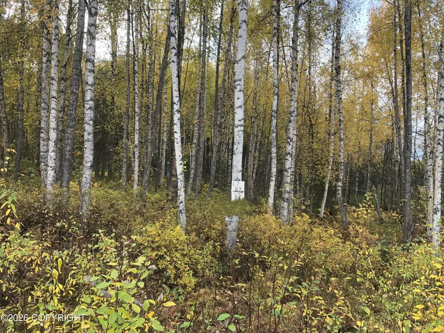 12976 N Prism Drive, Willow, AK 99688 - #3