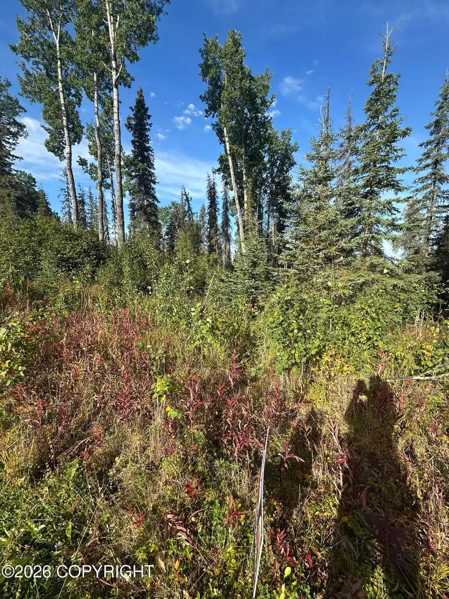 Lot 6 Joyful Road, Sterling, AK 99672 - #3