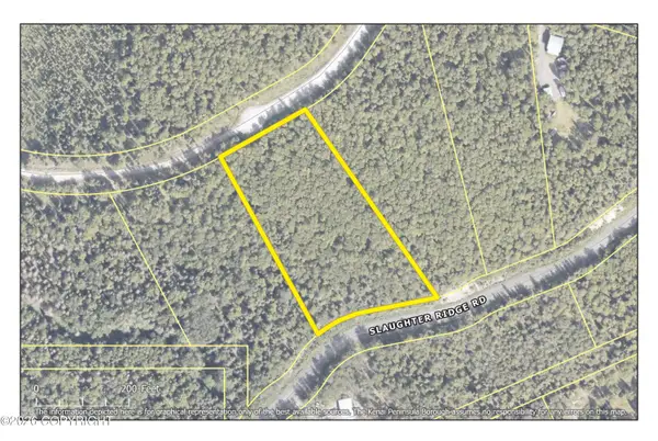 L18 Slaughter Ridge Road, Cooper Landing, AK 99572