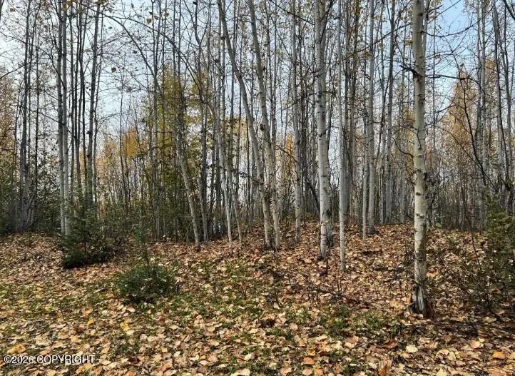 Tr A S Horseshoe Lake Road, Big Lake, AK 99652 - #1