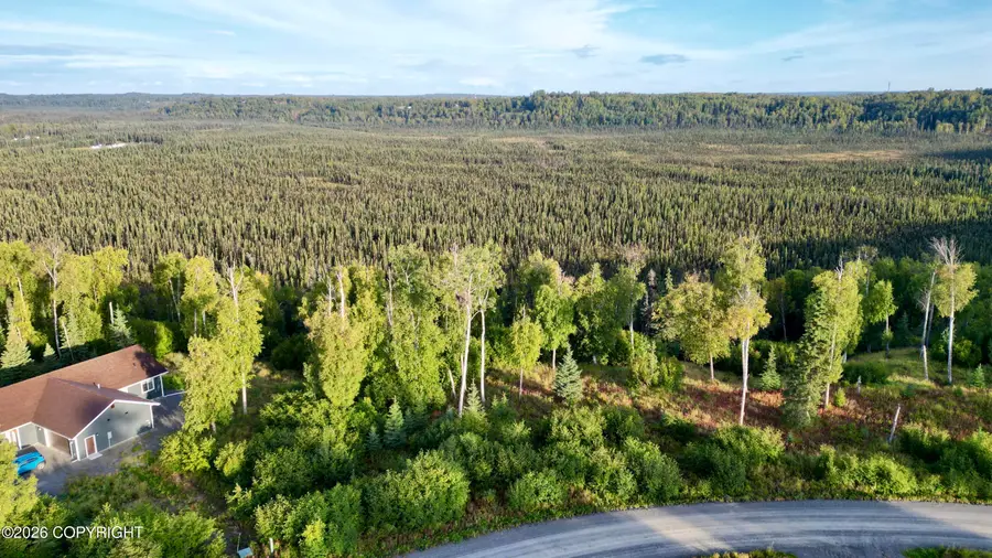 L27 Authentic Road, Soldotna, AK 99669 - #3