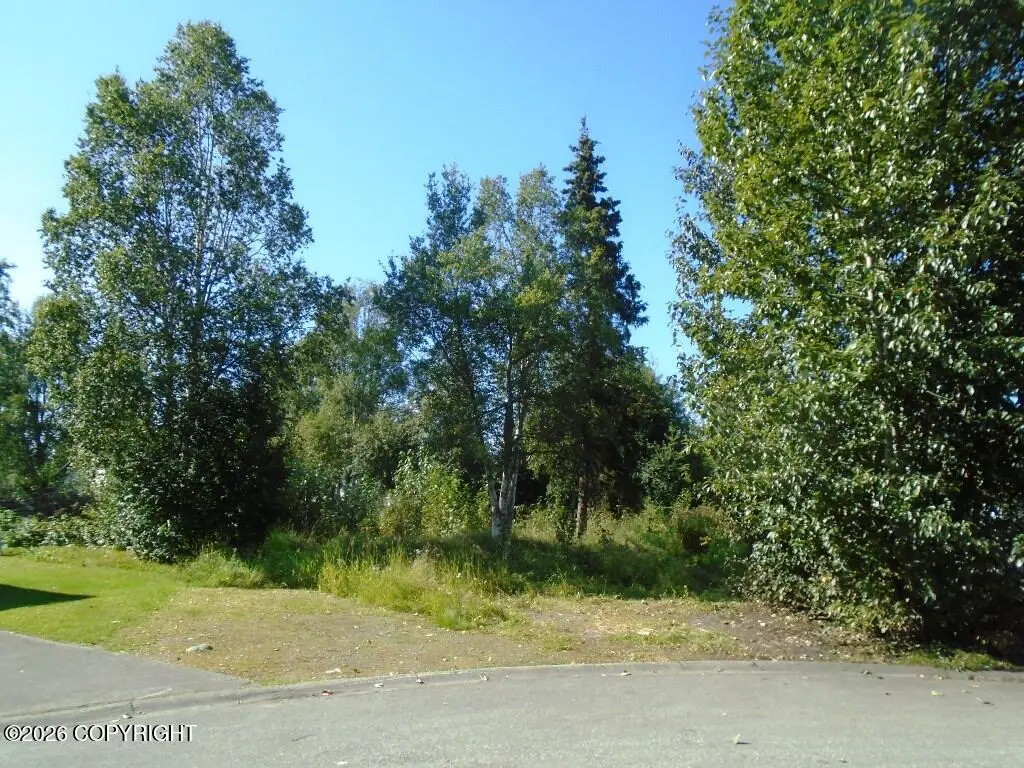 L8 Tanaga Circle, Anchorage, AK 99504 - #1