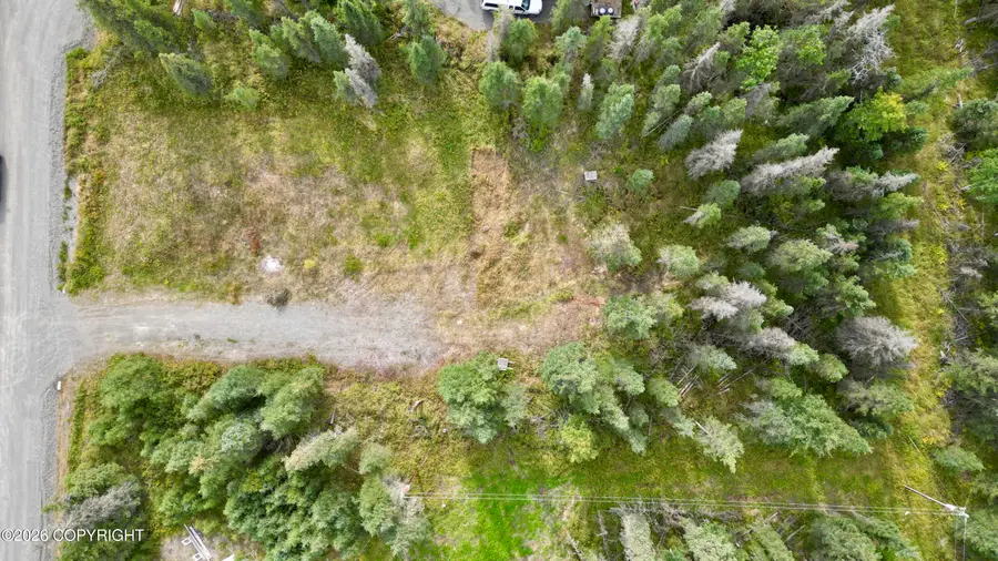 33805 Goodrich Street, Soldotna, AK 99669 - #2