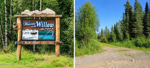 19802 W Twitty Avenue, Willow, AK 99688