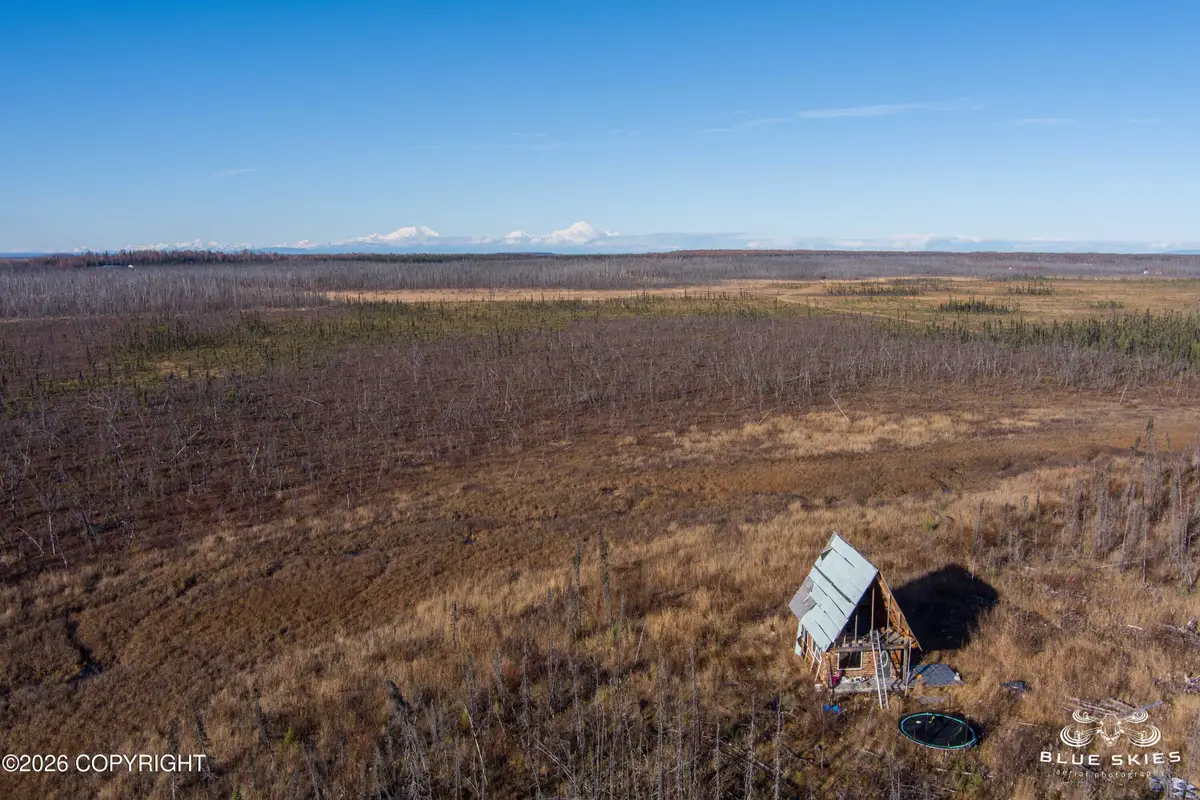 41357 W Krantz Road, Willow, AK 99688 - #1