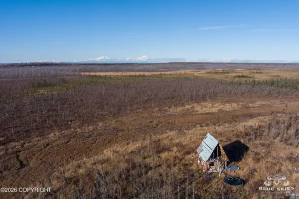 41357 W Krantz Road, Willow, AK 99688