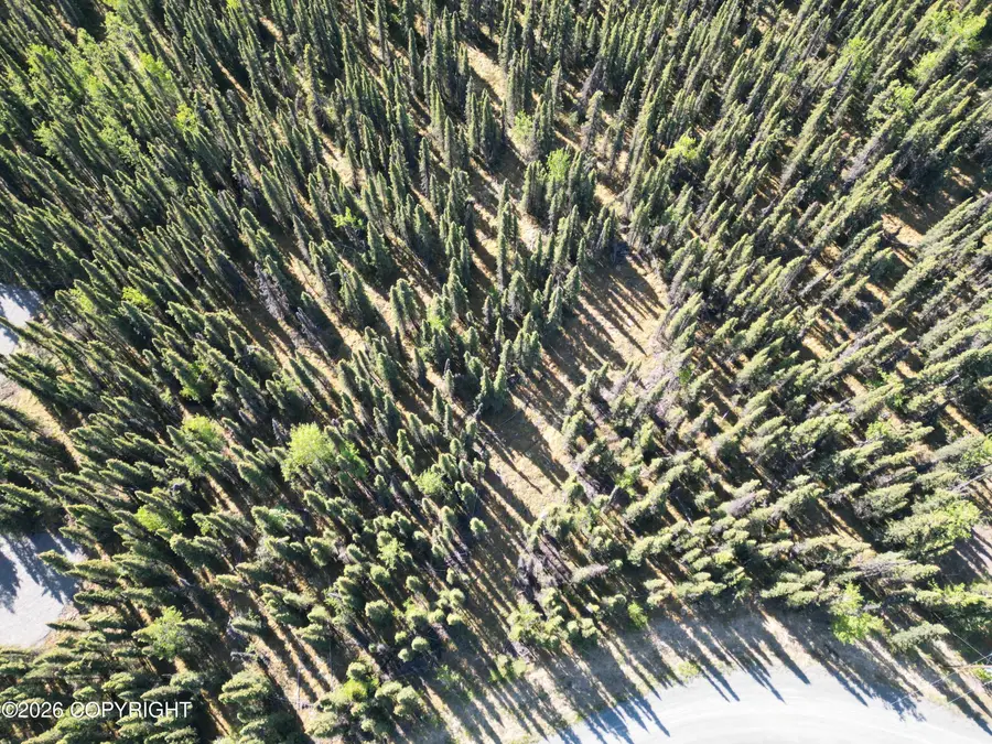 34831 Laura Lane, Soldotna, AK 99669 - #3