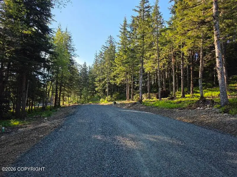 Lot 2 Hill Side Loop, Haines, AK 99827 - #1