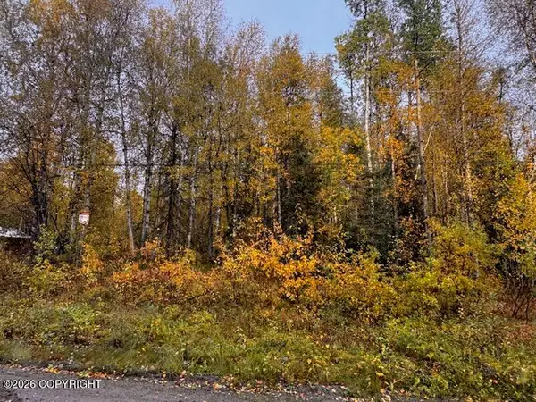 12913 N Pettis Drive, Willow, AK 99688