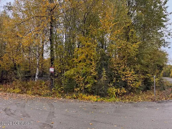 14713 N Sundew Circle, Willow, AK 99688