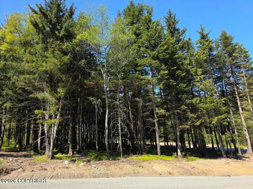 Lot 25 Martin Avenue, Haines, AK 99827 - #1