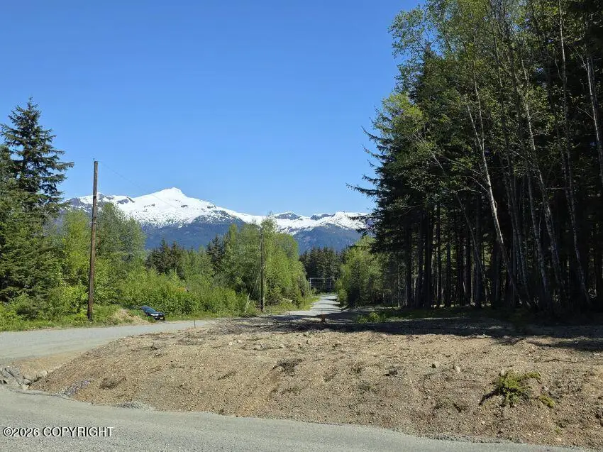 Lot 25 Martin Avenue, Haines, AK 99827 - #3