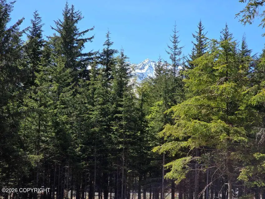Lot 26A Martin Avenue, Haines, AK 99827 - #1