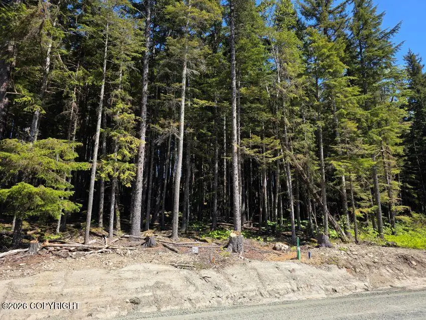 Lot 34 Martin Avenue, Haines, AK 99827 - #1