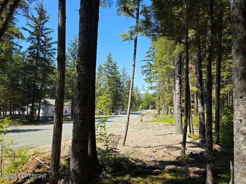 Lot 34 Martin Avenue, Haines, AK 99827 - #3