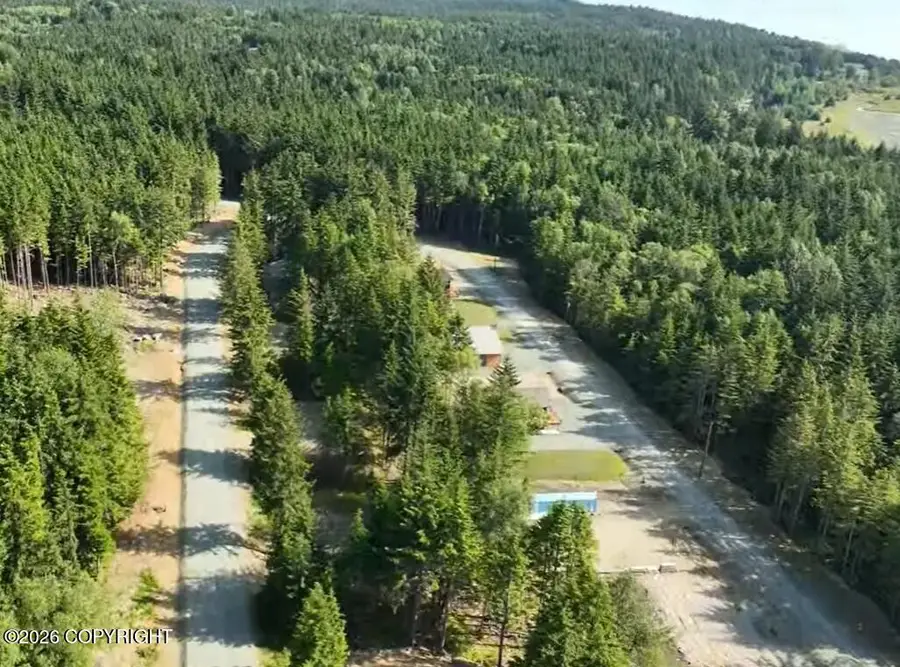 Lot 41 Martin Avenue, Haines, AK 99827 - #2